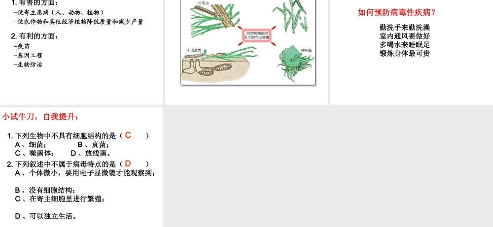 八年级生物上册 5.5 病毒课件 新人教版-新人教级上册生物课件