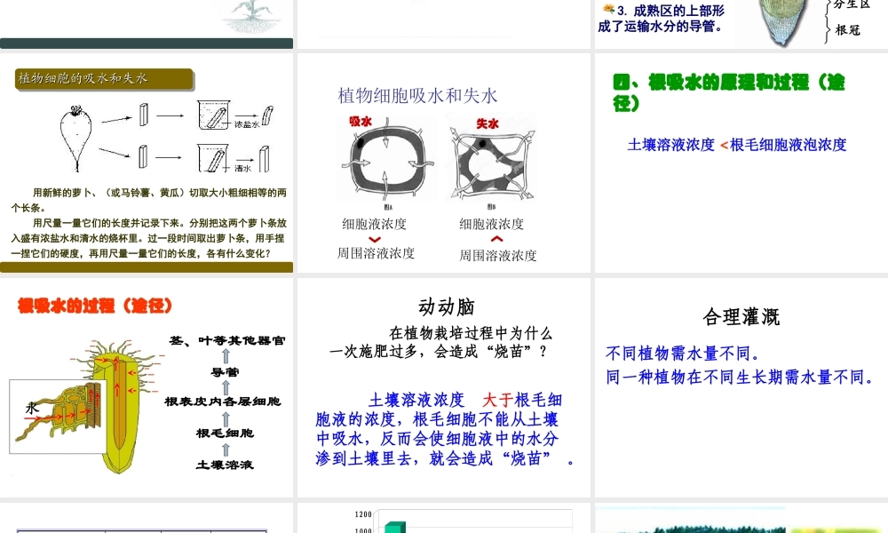 八年级生物上册 第2章 第2节 根对水分的吸收课件1 （新版）冀教版-（新版）冀教级上册生物课件