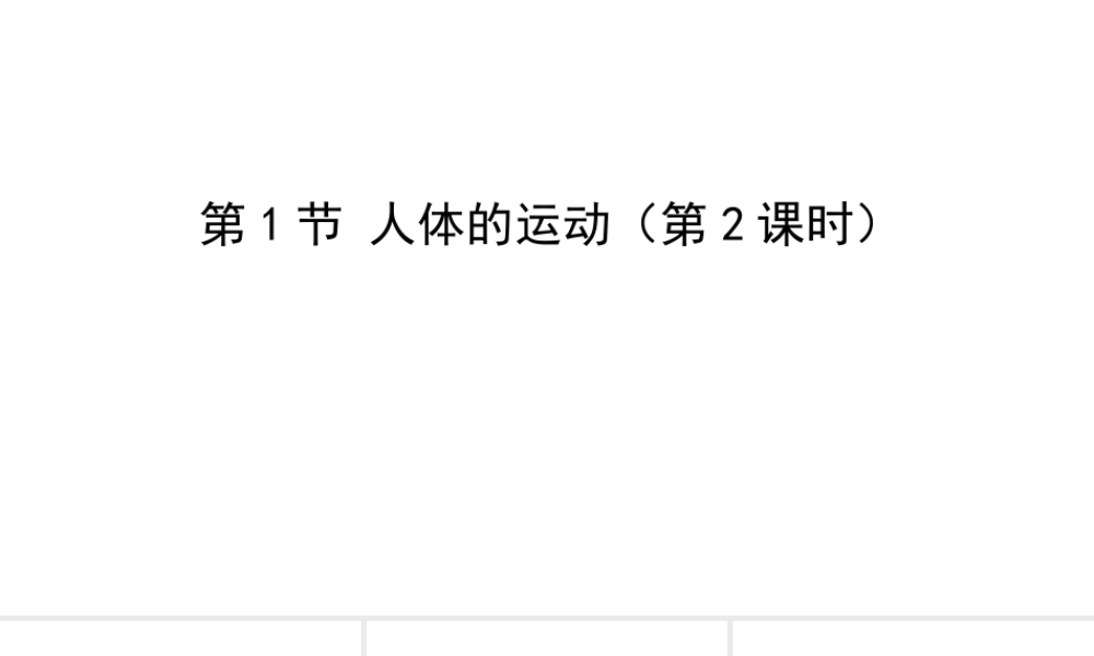 八年级生物上册 6.17.1人体的运动（第2课时）课件 （新版）苏科版-（新版）苏科版初中八年级上册生物课件