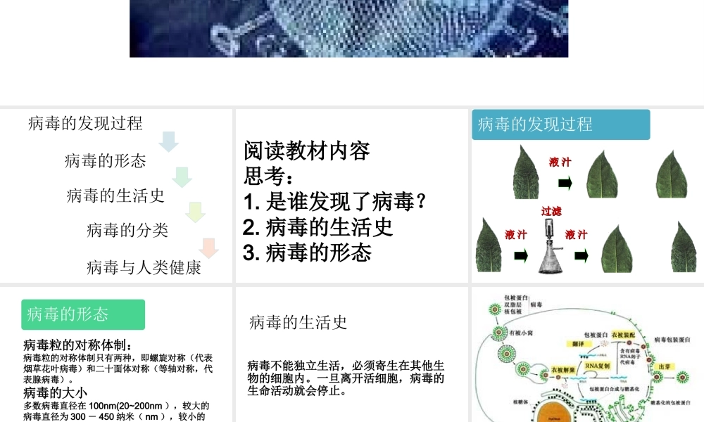 八年级生物上册 5.5 病毒课件1 （新版）新人教版