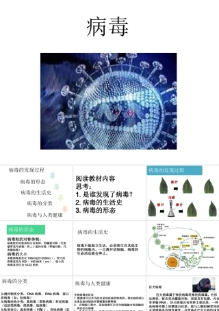 八年级生物上册 5.5 病毒课件1 （新版）新人教版