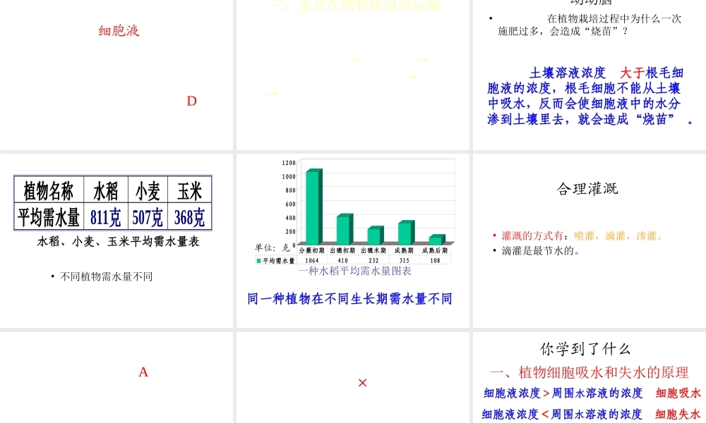 八年级生物上册 第2章 第2节 根对水分的吸收课件2 （新版）冀教版-（新版）冀教版初中八年级上册生物课件