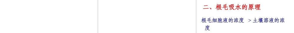 八年级生物上册 第2章 第2节 根对水分的吸收课件2 （新版）冀教版-（新版）冀教版初中八年级上册生物课件