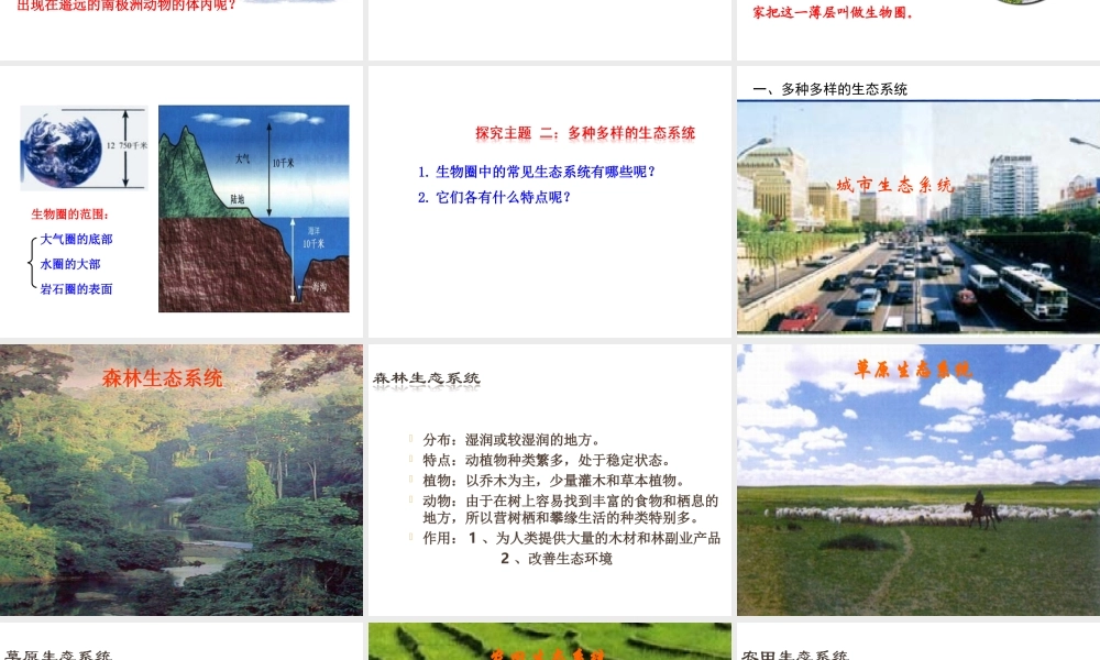 八年级生物上册 7.2.3生物圈是最大的生态系统课件 （新版）新人教版-（新版）新人教版初中八年级上册生物课件