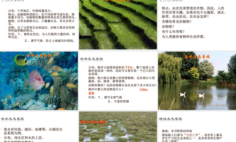 八年级生物上册 7.2.3生物圈是最大的生态系统课件 （新版）新人教版-（新版）新人教版初中八年级上册生物课件