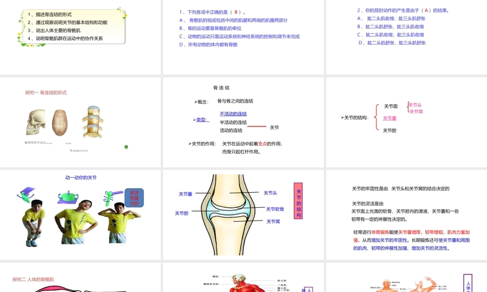 八年级生物上册 6.17.1人体的运动（第2课时）课件 （新版）苏科版-（新版）苏科级上册生物课件