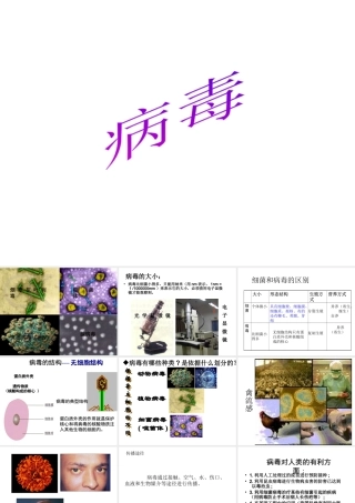八年级生物上册 5.5 病毒课件2 （新版）新人教版