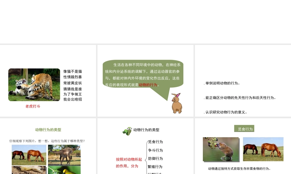 八年级生物上册 6.17.2《动物的行为》课件1 （新版）苏科版-（新版）苏科版初中八年级上册生物课件