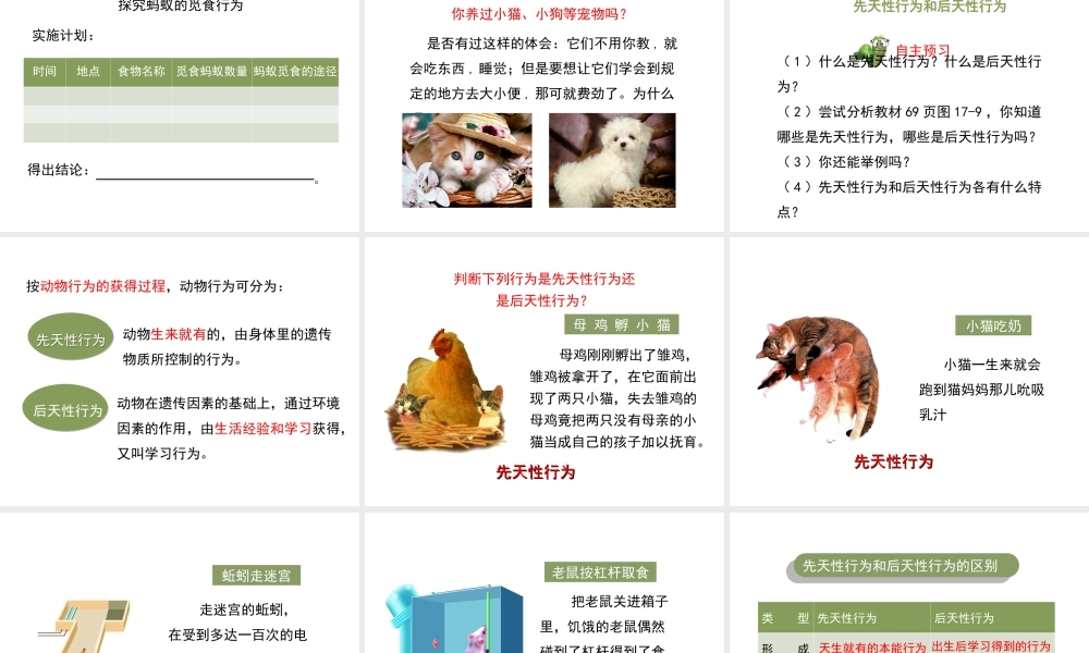 八年级生物上册 6.17.2《动物的行为》课件1 （新版）苏科版-（新版）苏科版初中八年级上册生物课件