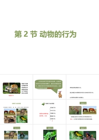 八年级生物上册 6.17.2《动物的行为》课件1 （新版）苏科版-（新版）苏科版初中八年级上册生物课件