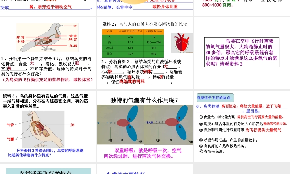 八年级生物上册 5.1.6 鸟课件3 （新版）新人教版-（新版）新人教版初中八年级上册生物课件