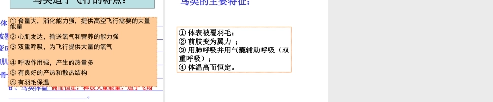 八年级生物上册 5.1.6 鸟课件3 （新版）新人教版-（新版）新人教版初中八年级上册生物课件