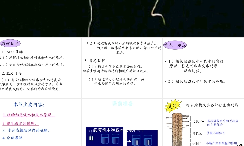 八年级生物上册 第2章 第2节 根对水分的吸收课件4 （新版）冀教版-（新版）冀教版初中八年级上册生物课件