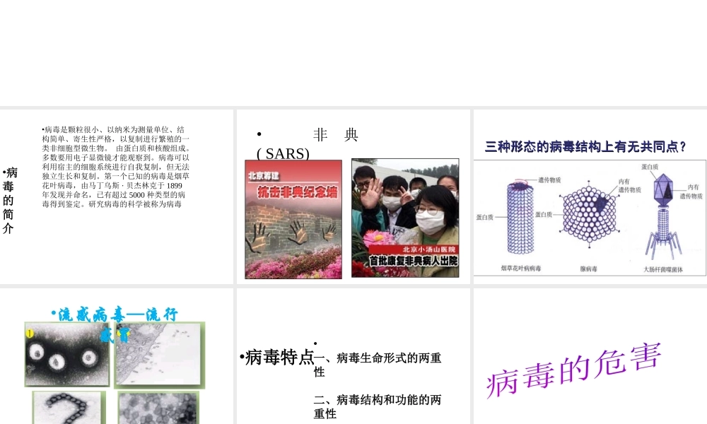 八年级生物上册 5.5 病毒课件3 （新版）新人教版