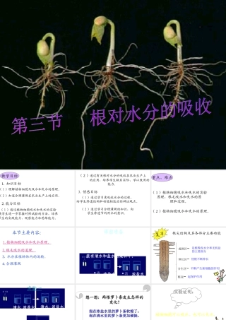八年级生物上册 第2章 第2节 根对水分的吸收课件4 （新版）冀教版-（新版）冀教级上册生物课件
