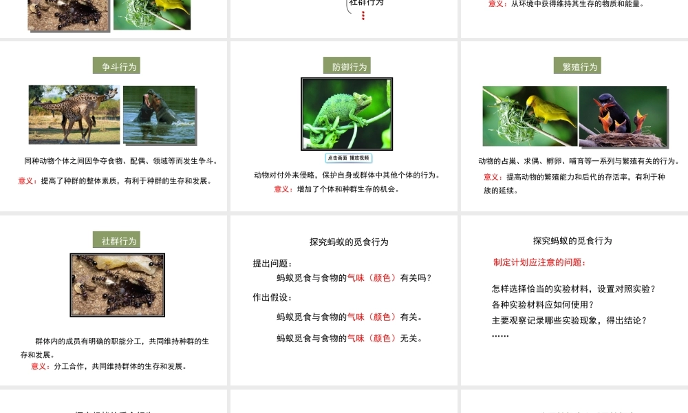 八年级生物上册 6.17.2《动物的行为》课件1 （新版）苏科版-（新版）苏科级上册生物课件