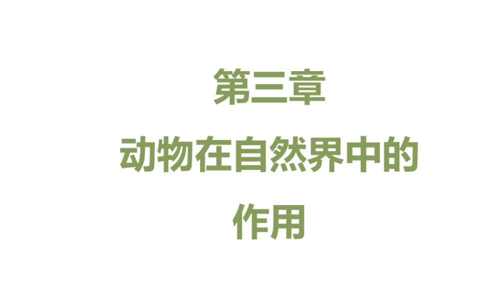 八年级生物上册 7.3.1《动物在自然界中的作用》课件1 鲁科版五四制-鲁科版初中八年级上册生物课件