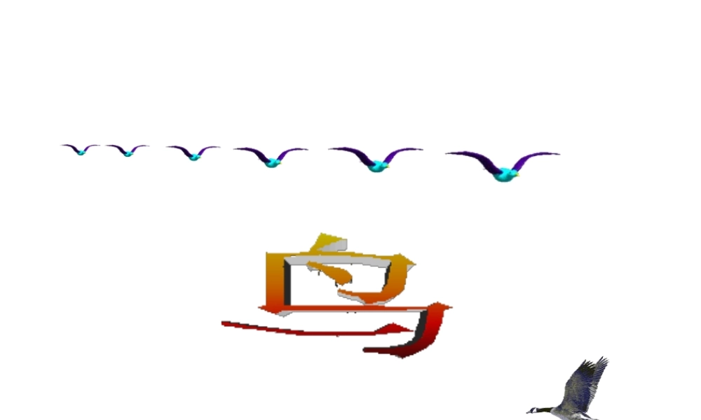 八年级生物上册 5.1.6 鸟课件4 （新版）新人教版-（新版）新人教版初中八年级上册生物课件
