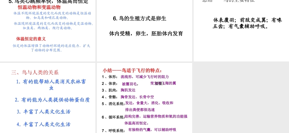 八年级生物上册 5.1.6 鸟课件4 （新版）新人教版-（新版）新人教版初中八年级上册生物课件