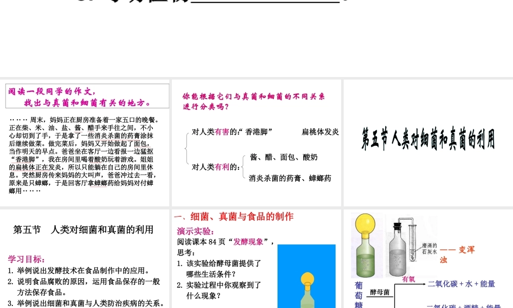 八年级生物上册 5.5.2 人类对细菌和真菌的利用课件 新人教版