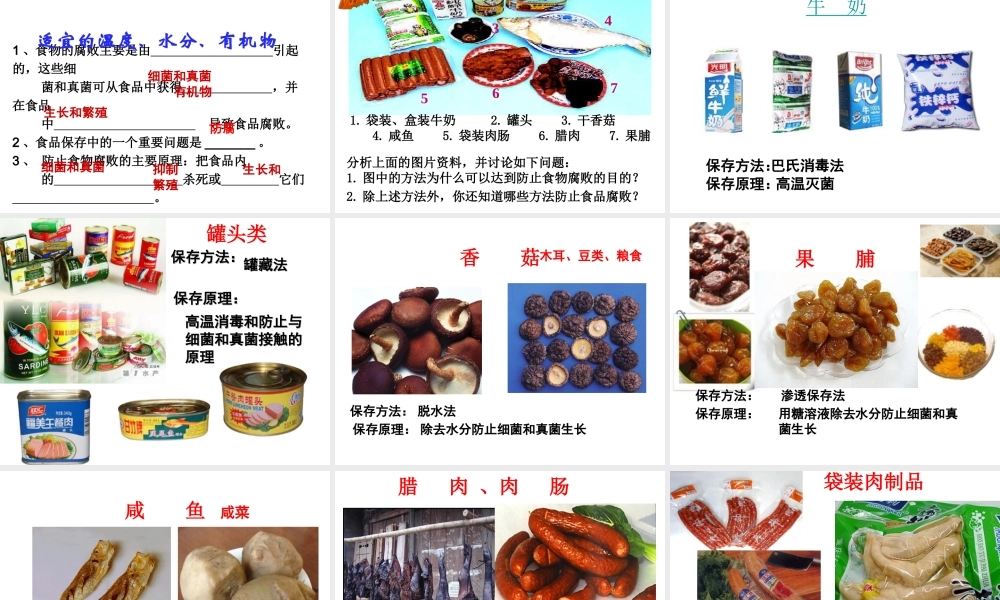 八年级生物上册 5.5.2 人类对细菌和真菌的利用课件 新人教版