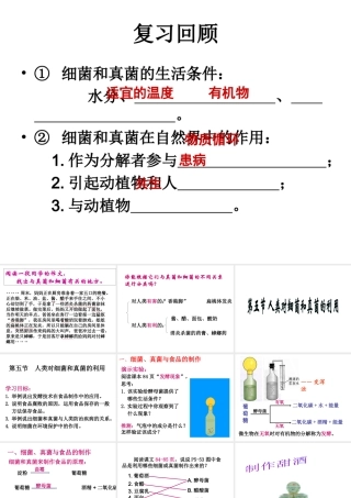 八年级生物上册 5.5.2 人类对细菌和真菌的利用课件 新人教版