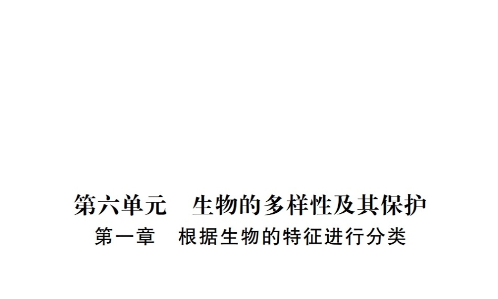 八年级生物上册 期末复习 第六单元 第一章 根据生物的特征进行分类课件 （新版）新人教版-（新版）新人教版初中八年级上册生物课件