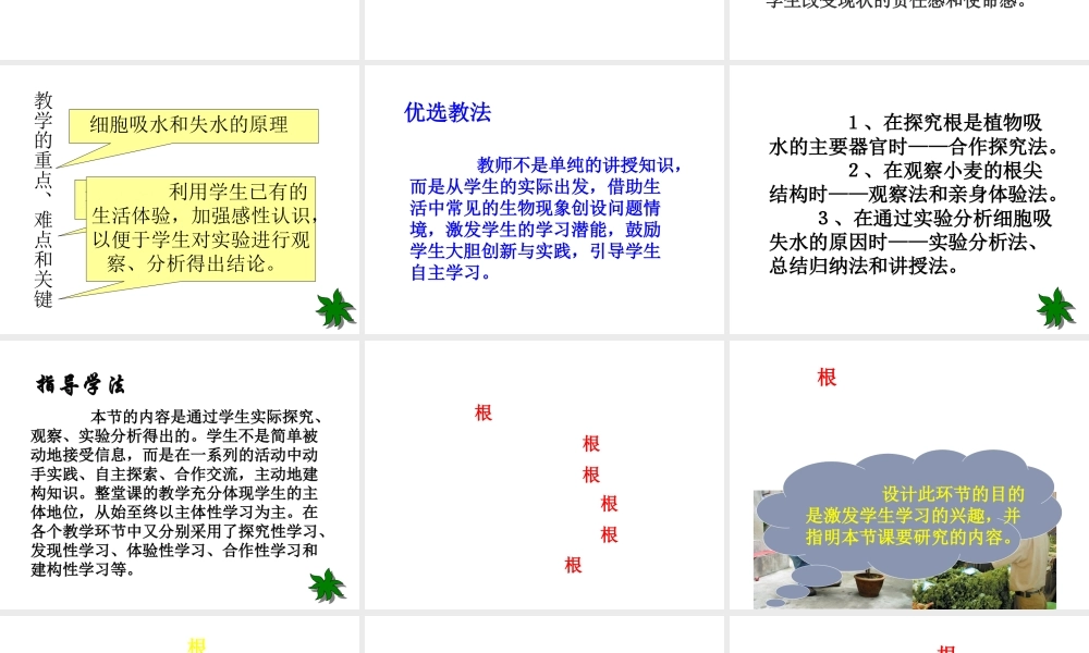 八年级生物上册 第2章 第2节 根对水分的吸收课件5 （新版）冀教版-（新版）冀教版初中八年级上册生物课件