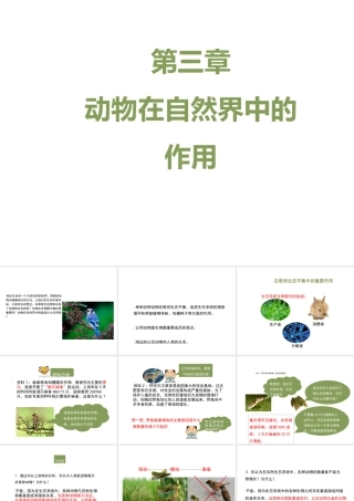 八年级生物上册 7.3.1《动物在自然界中的作用》课件1 鲁科版五四制-鲁科级上册生物课件