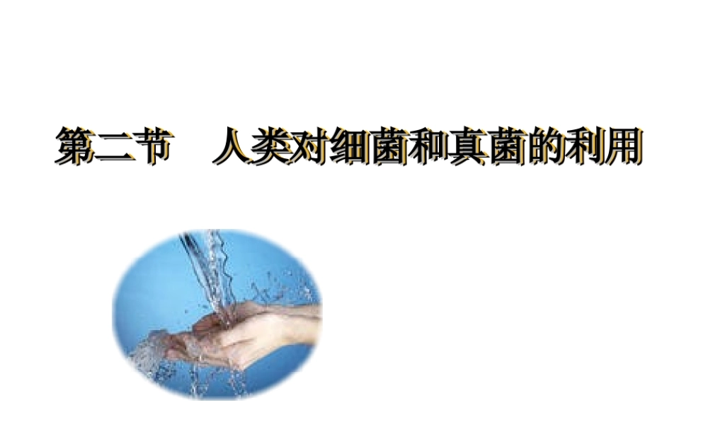 八年级生物上册 5.5.2人类对细菌和真菌的利用课件 人教新课标版