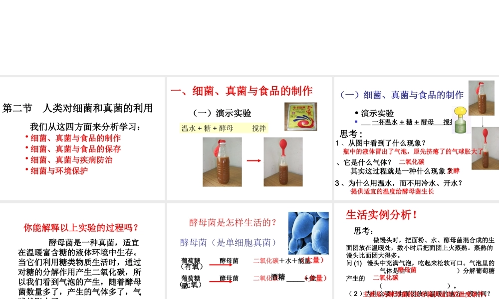 八年级生物上册 5.5.2人类对细菌和真菌的利用课件 人教新课标版