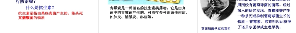 八年级生物上册 5.5.2人类对细菌和真菌的利用课件 人教新课标版