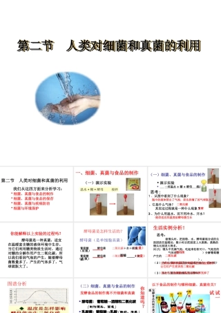 八年级生物上册 5.5.2人类对细菌和真菌的利用课件 人教新课标版