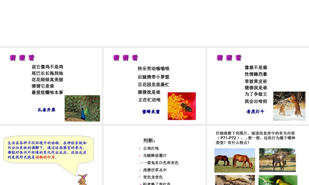 八年级生物上册 6.17.2《动物的行为》课件2 （新版）苏科版-（新版）苏科级上册生物课件