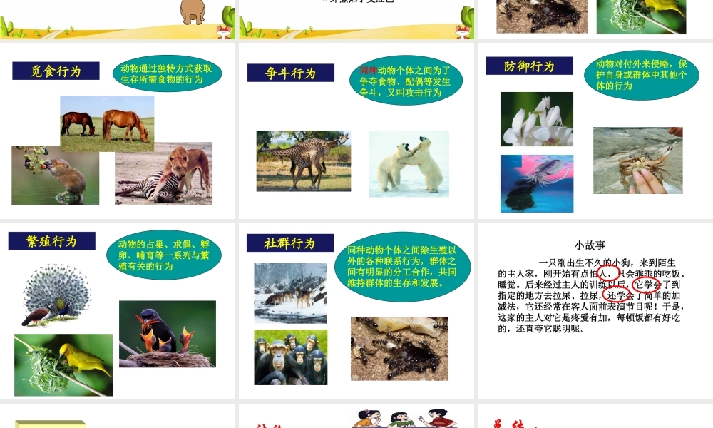 八年级生物上册 6.17.2《动物的行为》课件2 （新版）苏科版-（新版）苏科级上册生物课件