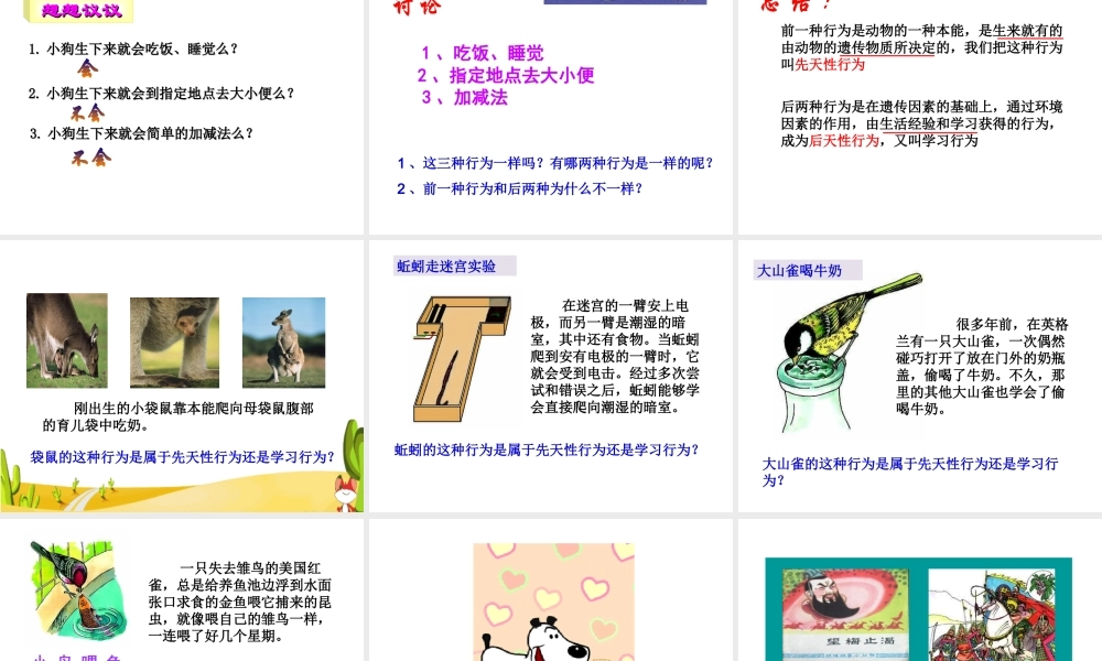 八年级生物上册 6.17.2《动物的行为》课件2 （新版）苏科版-（新版）苏科级上册生物课件