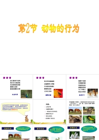 八年级生物上册 6.17.2《动物的行为》课件2 （新版）苏科版-（新版）苏科级上册生物课件