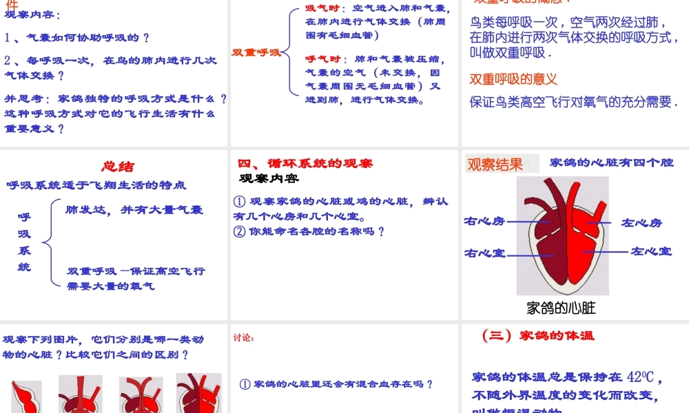 八年级生物上册 5.1.6 鸟类课件 （新版）新人教版五四制-（新版）新人教版初中八年级上册生物课件