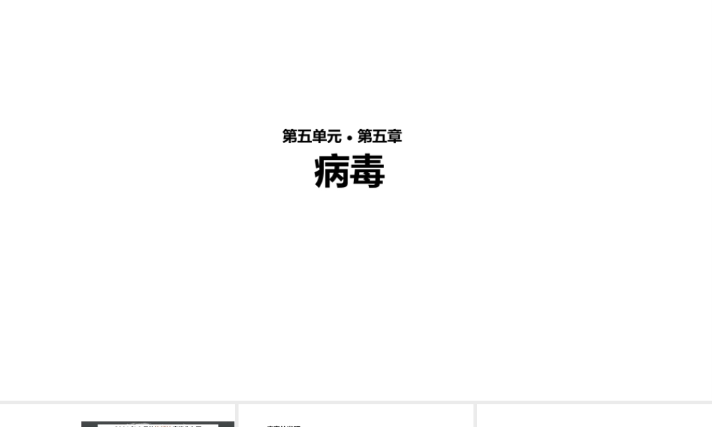 八年级生物上册 5.5《病毒》教学课件 （新版）新人教版-（新版）新人教版初中八年级上册生物课件