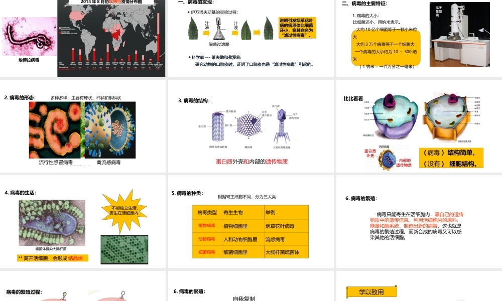 八年级生物上册 5.5《病毒》教学课件 （新版）新人教版-（新版）新人教版初中八年级上册生物课件