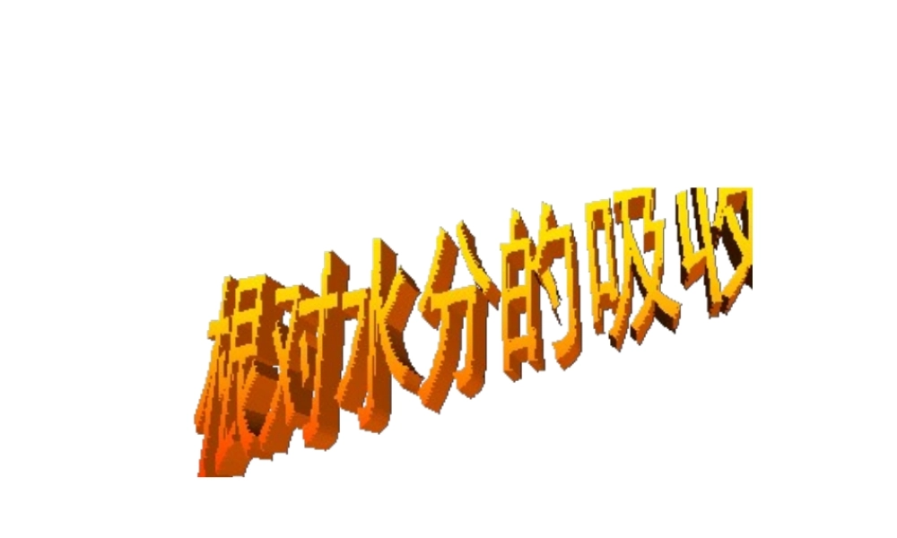 八年级生物上册 第2章 第2节 根对水分的吸收课件5 （新版）冀教版-（新版）冀教级上册生物课件