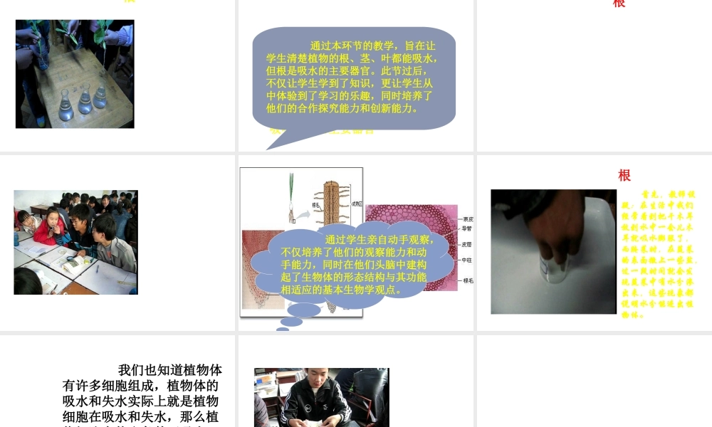 八年级生物上册 第2章 第2节 根对水分的吸收课件5 （新版）冀教版-（新版）冀教级上册生物课件