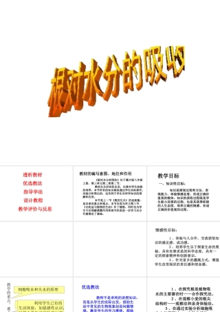 八年级生物上册 第2章 第2节 根对水分的吸收课件5 （新版）冀教版-（新版）冀教级上册生物课件