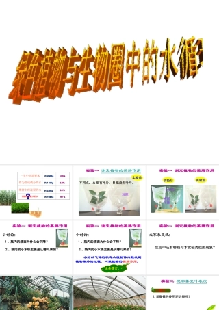 八年级生物上册 6.18.1 绿色植物与生物圈中的水循环课件 （新版）苏科版-（新版）苏科版初中八年级上册生物课件