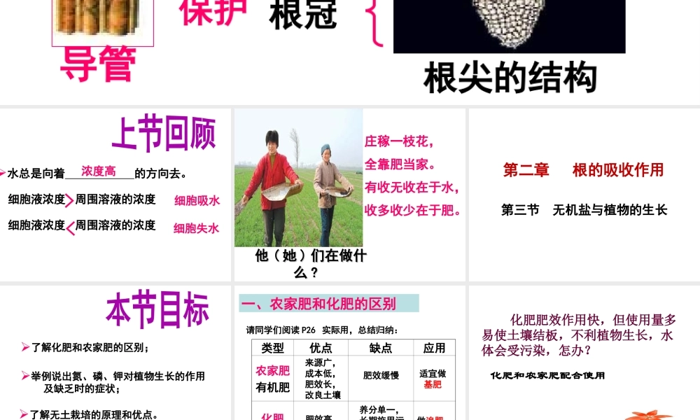 八年级生物上册 第2章 第3节 无机盐与植物的生长课件 （新版）冀教版-（新版）冀教版初中八年级上册生物课件