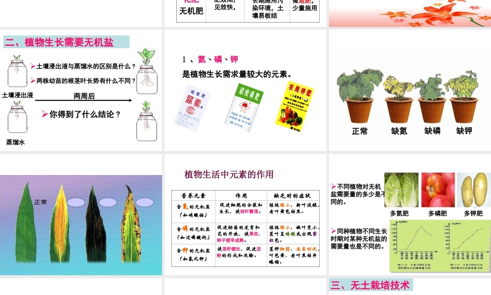 八年级生物上册 第2章 第3节 无机盐与植物的生长课件 （新版）冀教版-（新版）冀教版初中八年级上册生物课件