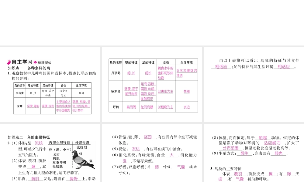 八年级生物上册 5.1.6 鸟作业课件 （新版）新人教版-（新版）新人教版初中八年级上册生物课件
