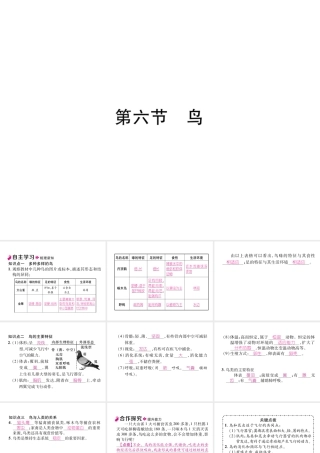 八年级生物上册 5.1.6 鸟作业课件 （新版）新人教版-（新版）新人教版初中八年级上册生物课件