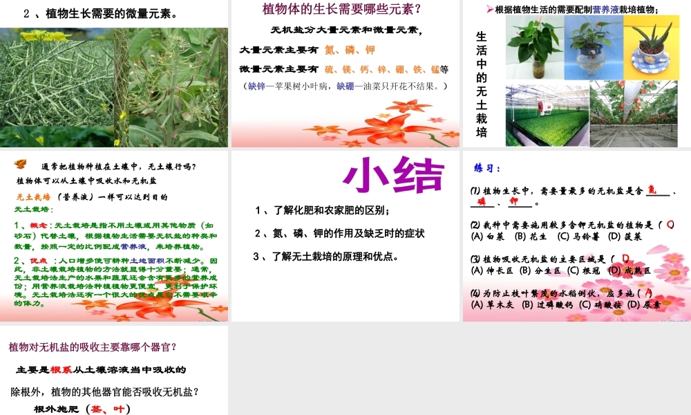 八年级生物上册 第2章 第3节 无机盐与植物的生长课件 （新版）冀教版-（新版）冀教级上册生物课件