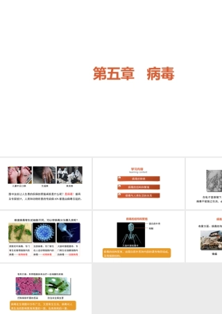 八年级生物上册 5.5《病毒》课件 （新版）新人教版-（新版）新人教版初中八年级上册生物课件